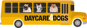 daycare4dogs